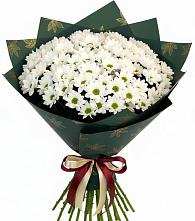 Букет цветов из:  Хризантемы в Камское Устье