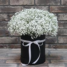 Цветочная композиция из Гипсофила в шляпной коробке в Камское Устье